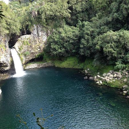 Le Beau Vallon 1- Jacuzzi Privatif Et Piscine Chauffee Partagee Saint-Benoît Екстериор снимка