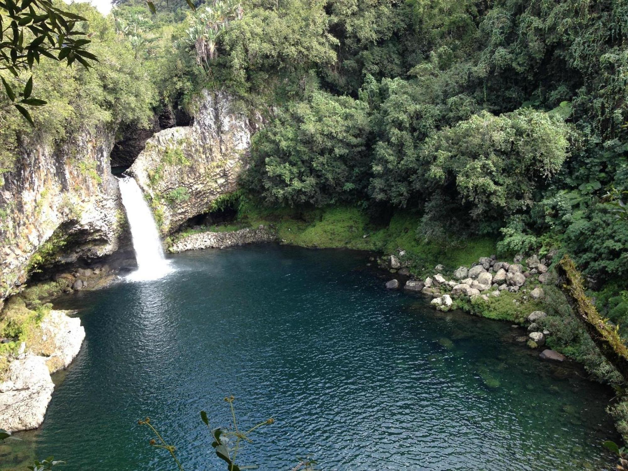 Le Beau Vallon 1- Jacuzzi Privatif Et Piscine Chauffee Partagee Saint-Benoît Екстериор снимка
